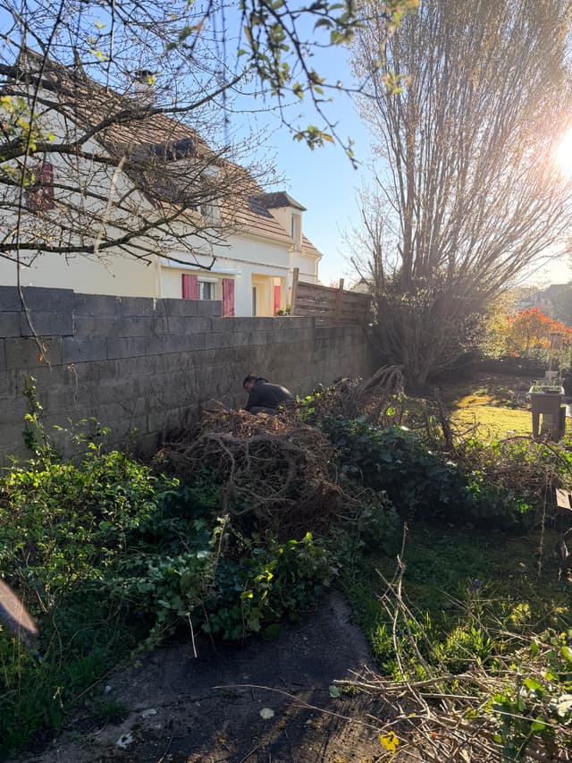 fin d'un chantier d'elagage