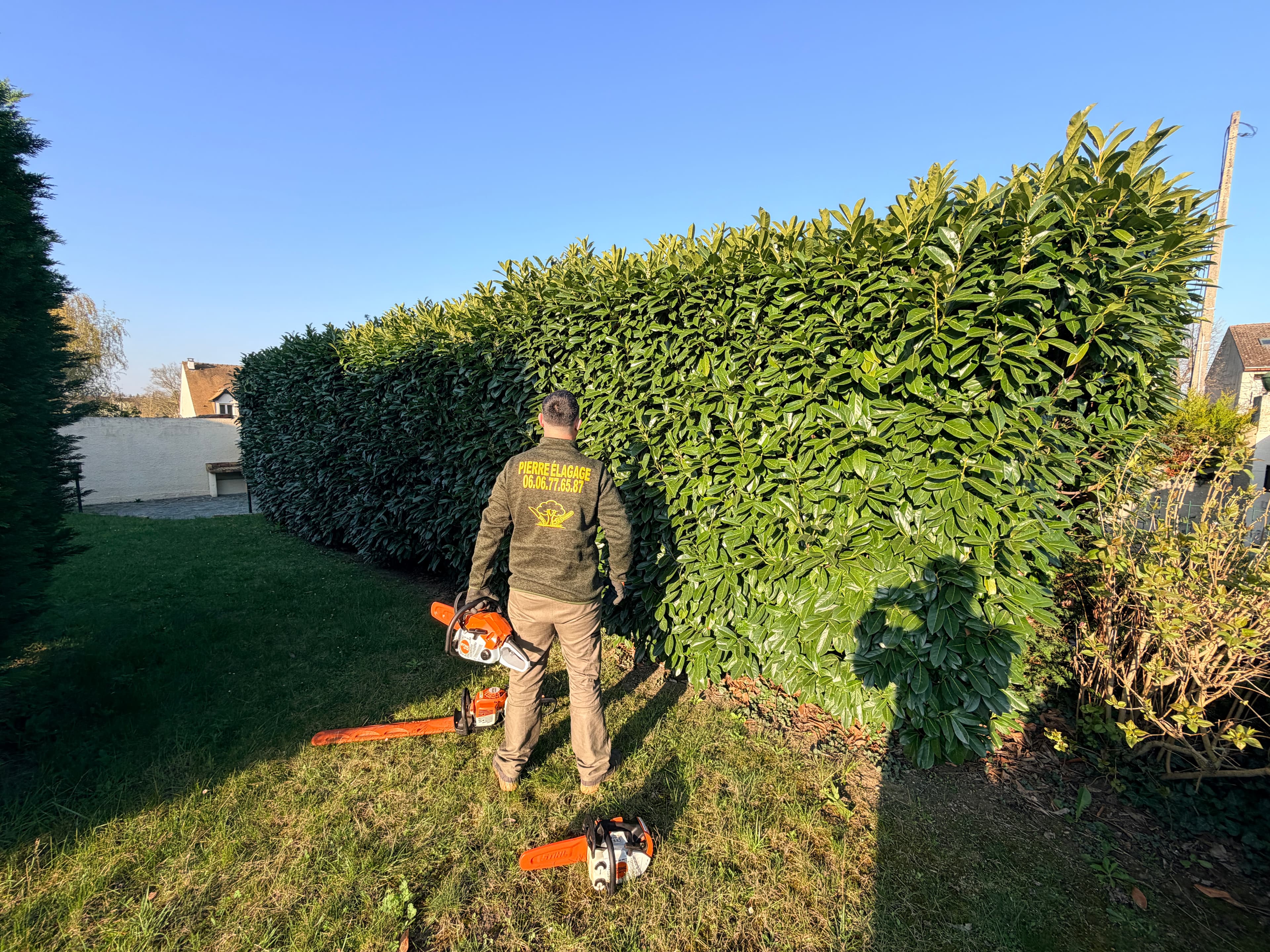 elagueur pierre sur une taille de haie